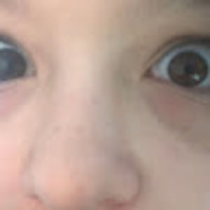 Meet your Posher, Millie